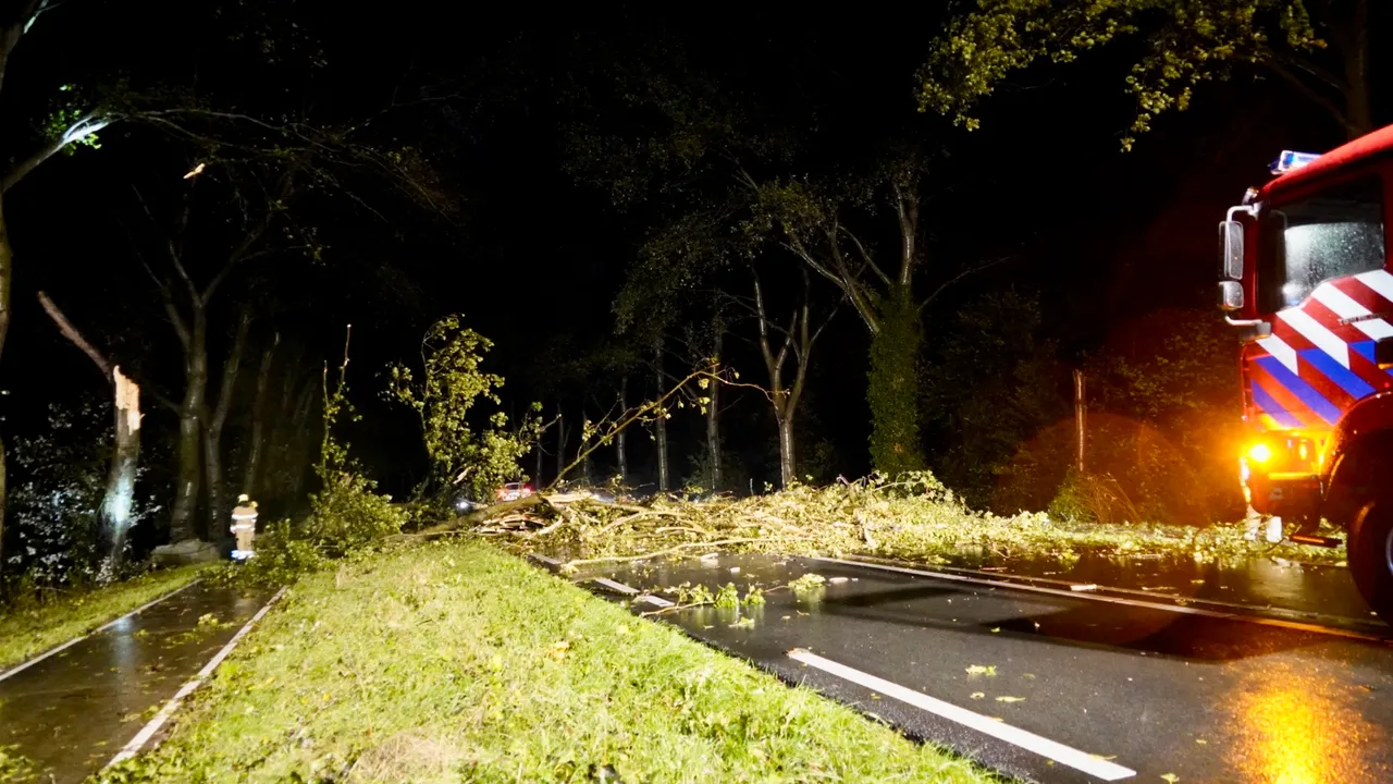 Omgevallen boom blokkeert N272 bij Sint Anthonis